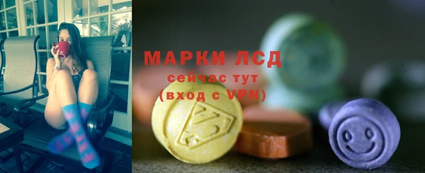 крисы Абаза