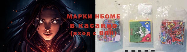 сатива Краснослободск