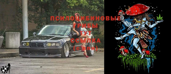 крисы Абаза