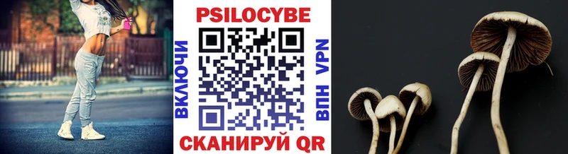 гидра ONION  продажа наркотиков  Прокопьевск  Псилоцибиновые грибы Psilocybine cubensis 